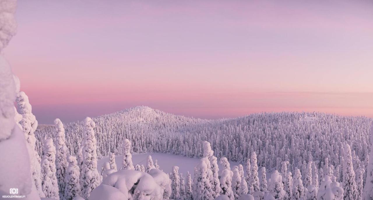 Hotelli Kultainen Joutsen Kuusamo Zewnętrze zdjęcie
